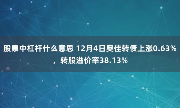 股票中杠杆什么意思 12月4日奥佳转债上涨0.63%，转股溢价率38.13%