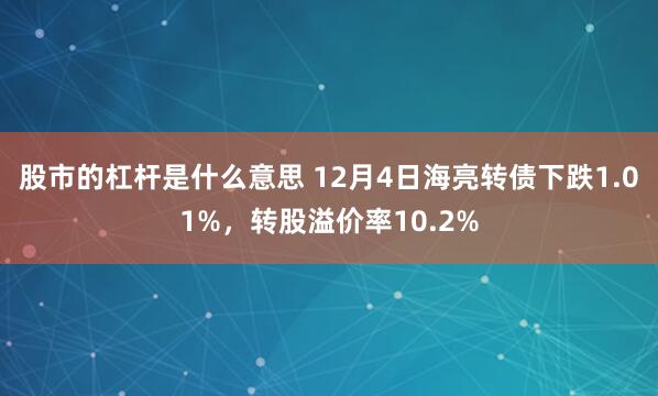 股市的杠杆是什么意思 12月4日海亮转债下跌1.01%，转股溢价率10.2%