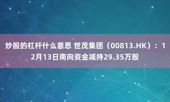 炒股的杠杆什么意思 世茂集团（00813.HK）：12月13日南向资金减持29.35万股