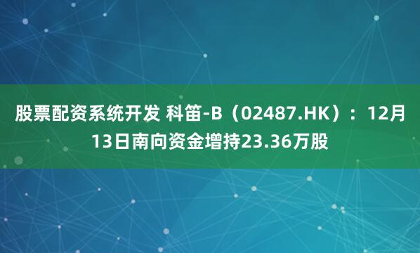 股票配资系统开发 科笛-B（02487.HK）：12月13日南向资金增持23.36万股