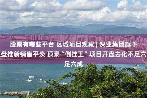 股票有哪些平台 区域项目观察 | 深业集团旗下双盘推新销售平淡 顶豪“倒挂王”项目开盘去化不足六成