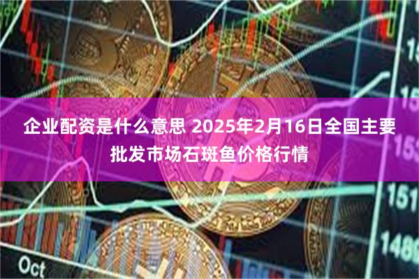 企业配资是什么意思 2025年2月16日全国主要批发市场石斑鱼价格行情