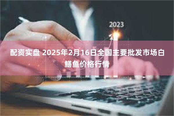 配资实盘 2025年2月16日全国主要批发市场白鳝鱼价格行情