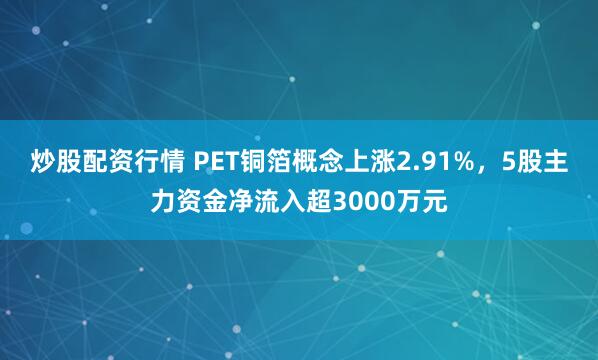 炒股配资行情 PET铜箔概念上涨2.91%，5股主力资金净流入超3000万元