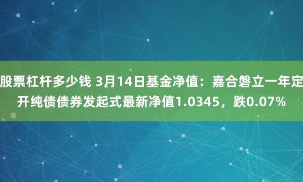 股票杠杆多少钱 3月14日基金净值：嘉合磐立一年定开纯债债券发起式最新净值1.0345，跌0.07%